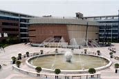 Shanghai Shangde Experimental School