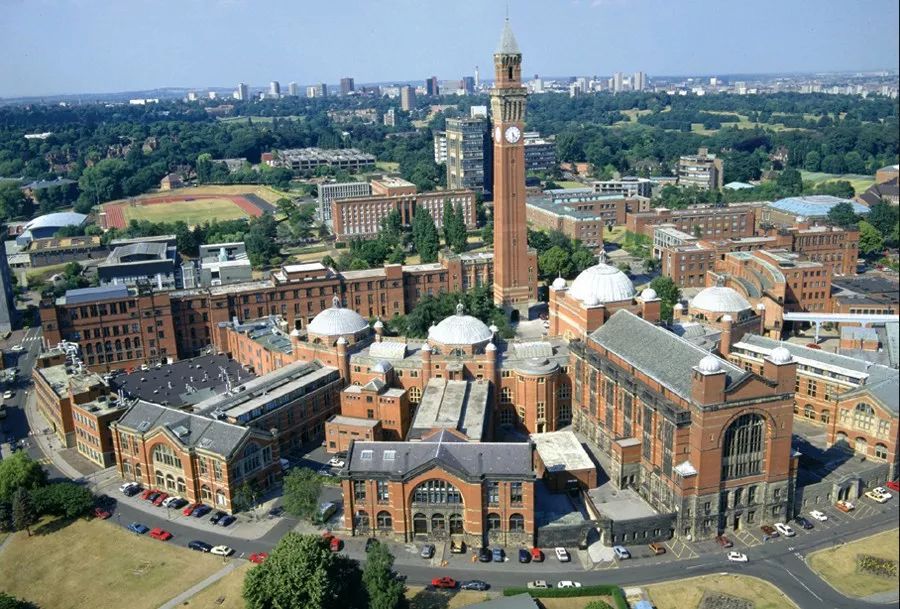 莱斯大学补充文书:在文书里插入图片是种什么体验?