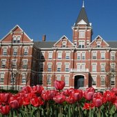 芬德利大学