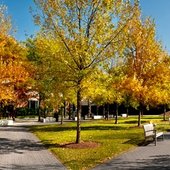 本特利大学