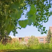 美国路易斯大学