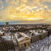 Brown University