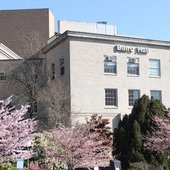 帕洛阿尔托大学