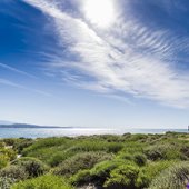 University of California--Santa Barbara