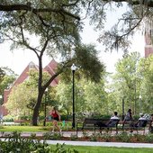 University of Florida