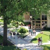 莱德大学