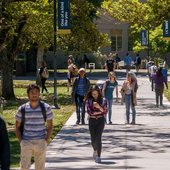 University of California--Davis