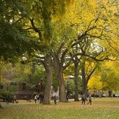 新泽西州立罗格斯大学