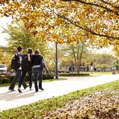 马凯特大学