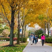 西东大学