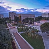 佛罗里达国际大学