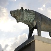University of New Mexico