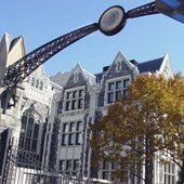 纽约城市大学城市学院